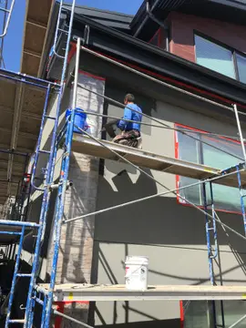 Full house bird proofing