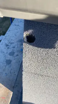Woodpecker Damage