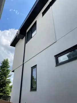 Partial bird proofing — after