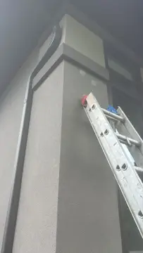 Woodpecker hole repairs — after