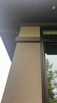 Woodpecker hole repairs — before