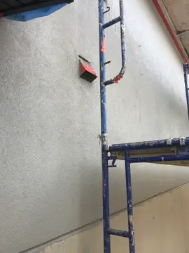 Full house bird proofing