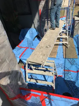Full house bird proofing