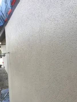 Full house bird proofing