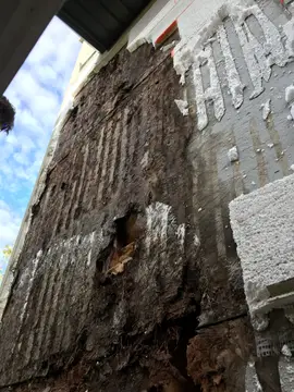 Water damage repairs