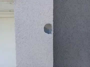Woodpecker Damage
