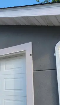 Woodpecker Damage