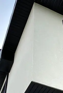 Woodpecker Damage — after